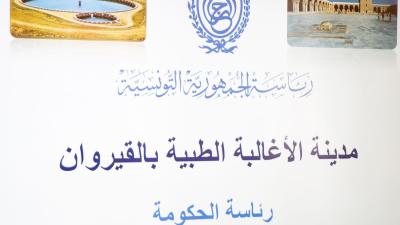 434565453_808808517943648_9195887466482542544